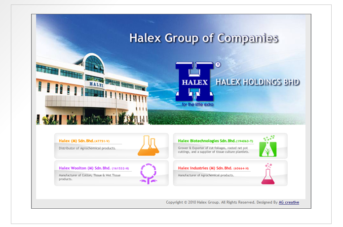Halex Group Website